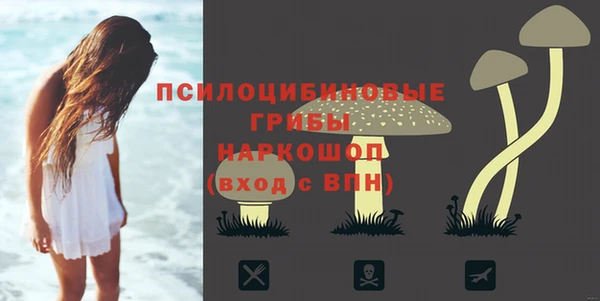 метамфетамин Белокуриха
