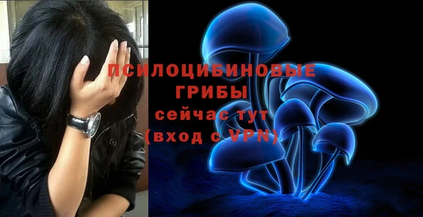 дмт Балахна