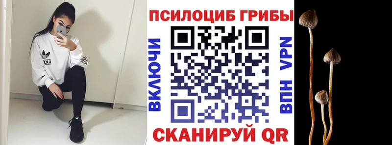 Галлюциногенные грибы GOLDEN TEACHER  kraken как войти  Нефтекумск 
