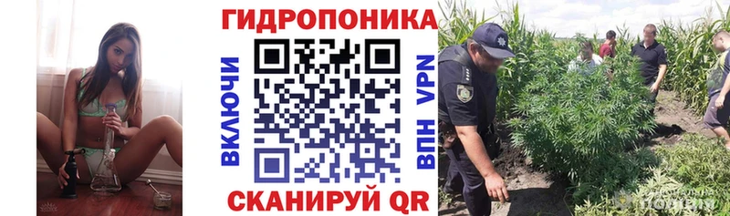 hydra ссылка  Нефтекумск  Канабис планчик 